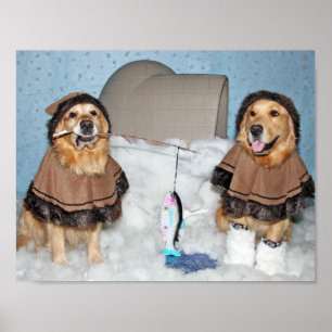 Póster Esquimales del golden retriever