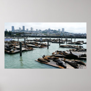 Póster Esquina de San Francisco y Pier 39 Sea Lions City