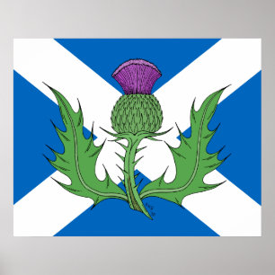 Póster Esquisto y Saltire escoceses