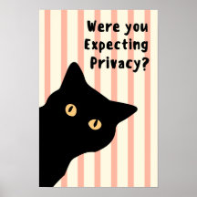 ¿Estabas Esperando Privacidad Gato Divertido Pared