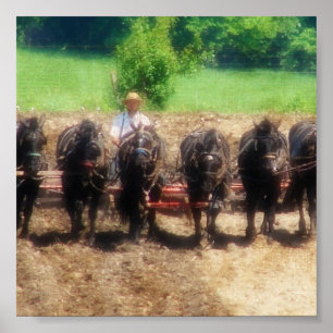 Póster Establecimiento de tiempo