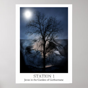 Póster Estación 1