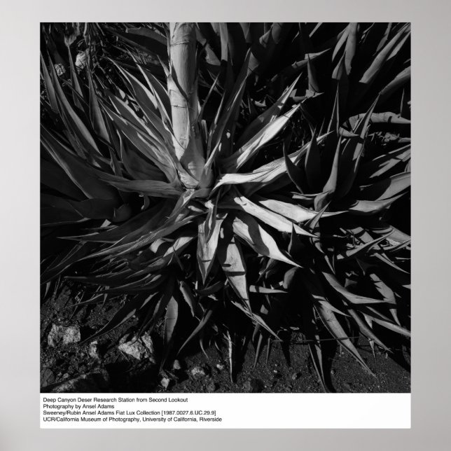 Póster Estación de investigación del desierto del Cañón P (Frente)