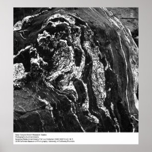 Póster Estación de investigación del desierto del Cañón P