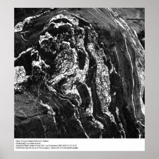 Póster Estación de investigación del desierto del Cañón P