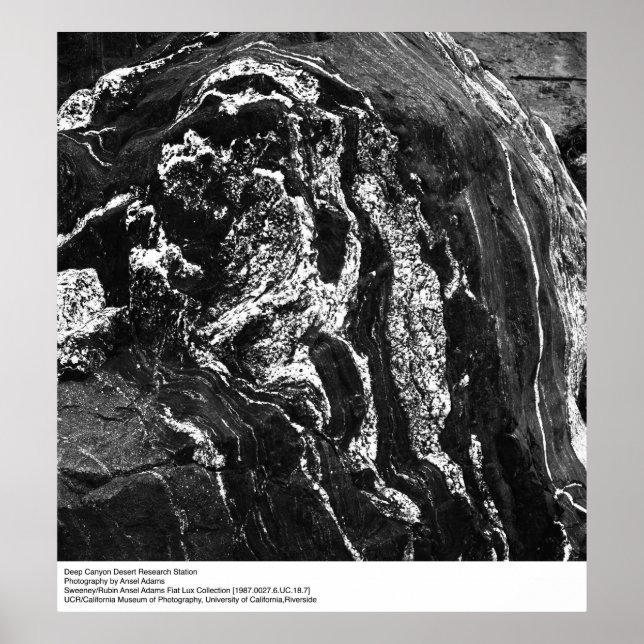 Póster Estación de investigación del desierto del Cañón P (Frente)