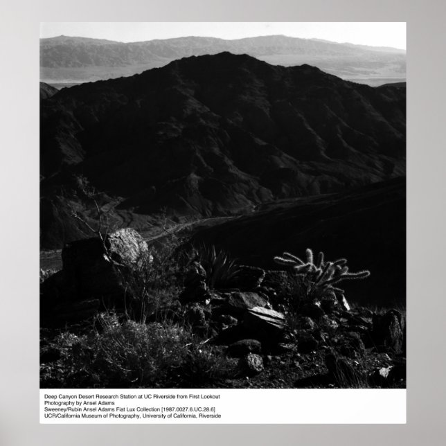 Póster Estación de investigación del desierto del Cañón P (Frente)