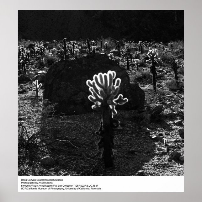 Póster Estación de investigación del desierto del Cañón P (Frente)