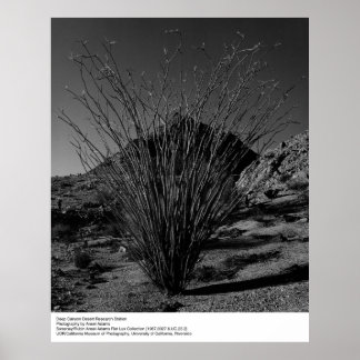 Póster Estación de investigación del desierto del Cañón P
