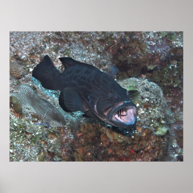 Póster Estación de limpieza (Frente)