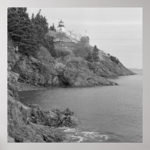 Póster Estación de luz de la cabeza de Owl