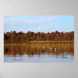 Póster Estación del pato