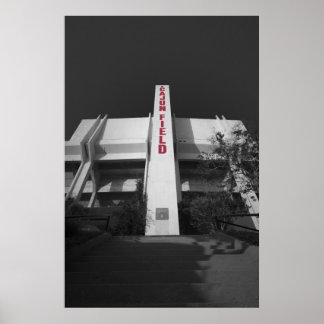 Póster Estadio ULL Cajun Field