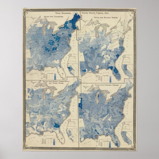 Póster Estadísticas vitales, censo de los Estados Unidos (Frente)