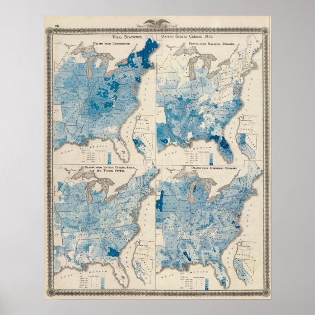 Póster Estadísticas vitales, Censo Unido (Frente)