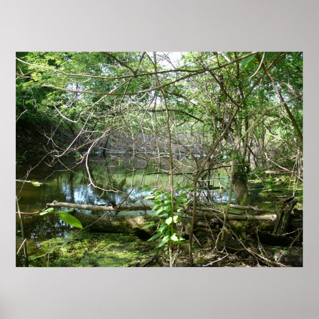 Póster Estado de confusión (Frente)