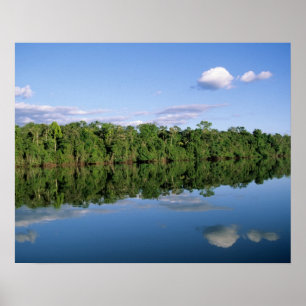 Póster Estado de Mato Grosso, Amazonia, Brasil. Boscoso