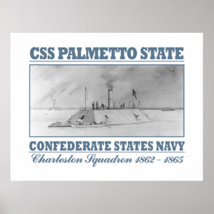 Póster Estado de Palmetto CSS