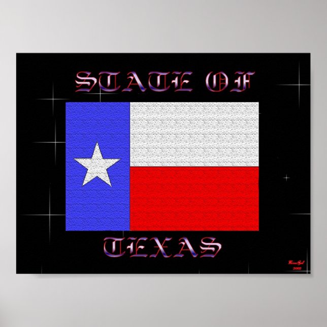 Póster Estado De Texas (Frente)