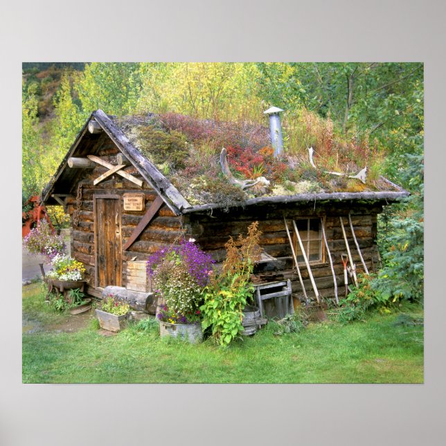 Póster Estados Unidos, Alaska, Parque Nacional Denali, Ka (Frente)