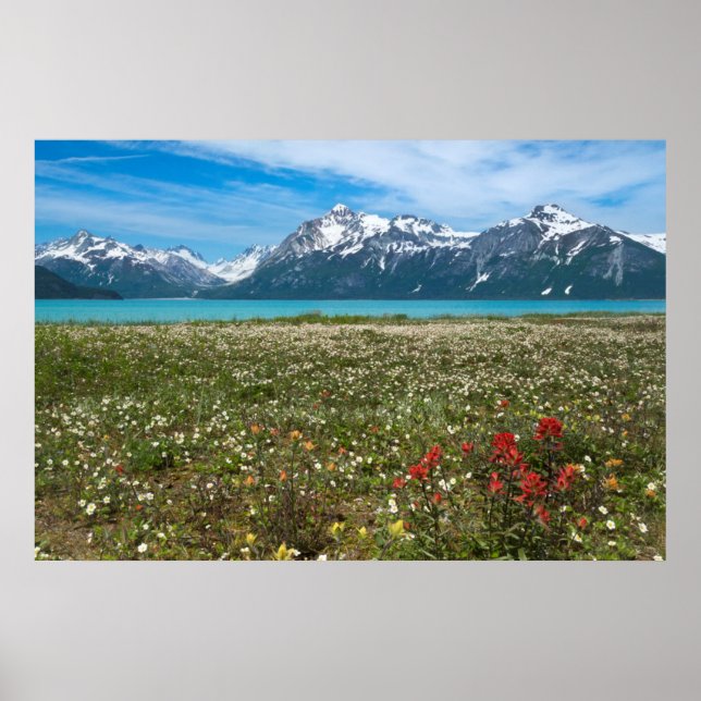 Póster Estados Unidos, Alaska, Parque Nacional Glacier Ba (Frente)