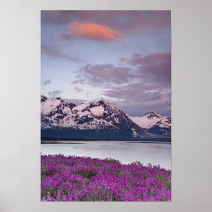 Póster Estados Unidos, Alaska, Valle del Río Alsek. Vista