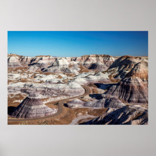 Póster Estados Unidos, Arizona, Parque Nacional del Bosqu