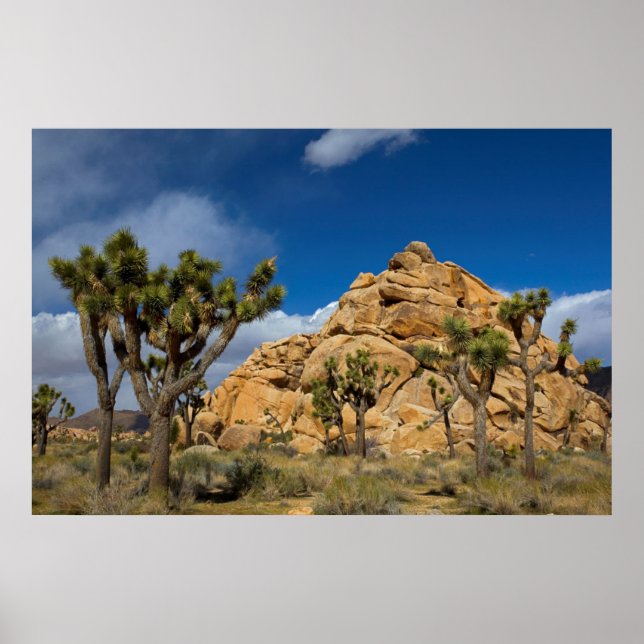 Póster Estados Unidos, California, Parque Nacional Joshua (Frente)