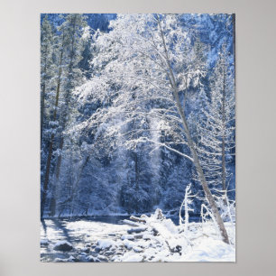 Póster Estados Unidos, California, Parque Nacional Yosemi