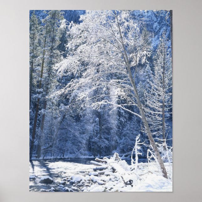 Póster Estados Unidos, California, Parque Nacional Yosemi (Frente)