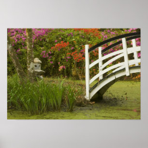 Póster Estados Unidos; Carolina del Sur; Charleston; 2