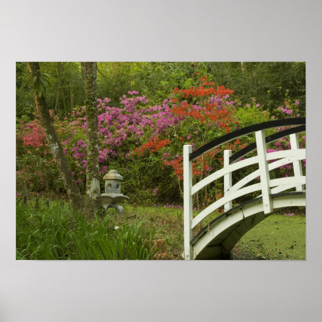 Póster Estados Unidos; Carolina del Sur; Charleston; 5 (Frente)