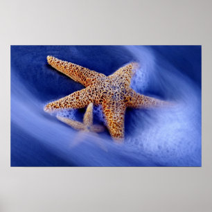 Póster Estados Unidos, Carolina del Sur, isla Hilton Head