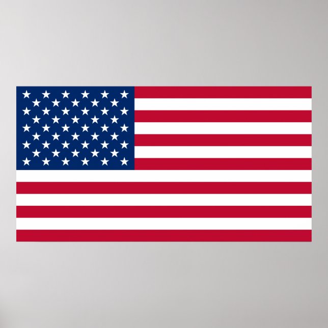 Póster Estados Unidos de América Bandera Estados Unidos P (Frente)
