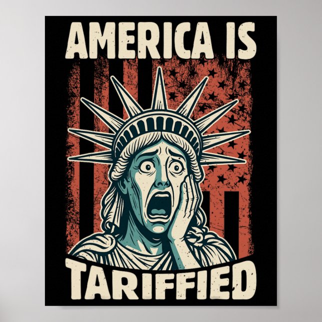 Póster Estados Unidos es tan gracioso como el Meme Arance (Frente)