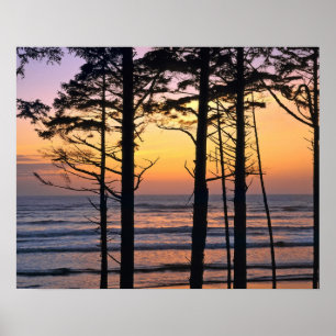 Póster Estados Unidos, Estado de Washington, NP olímpico