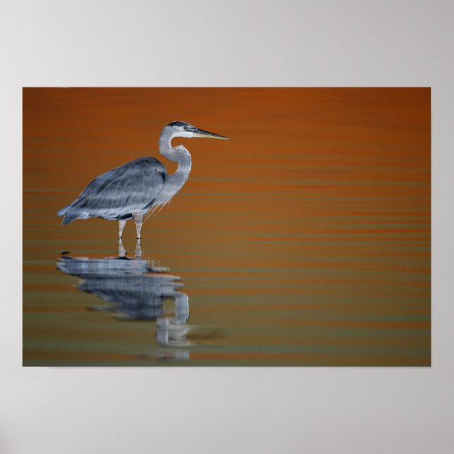 Póster Estados Unidos, Florida, San Petersburgo, Fort De  (Frente)