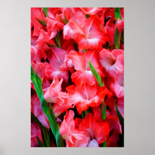 Póster Estados Unidos, Georgia, Savannah, Bouquet De Glad
