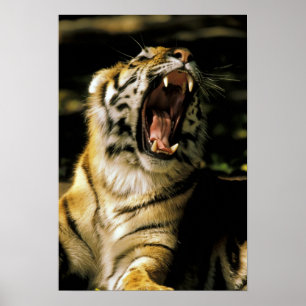 Póster Estados Unidos, Michigan, Detroit. Zoológico de De