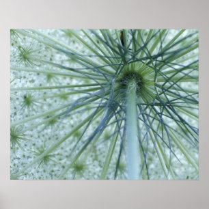 Póster Estados Unidos, Michigan. El encaje de la Reina An