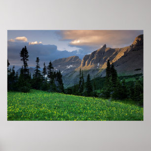 Póster Estados Unidos, Montana, Parque Nacional Glacier, 