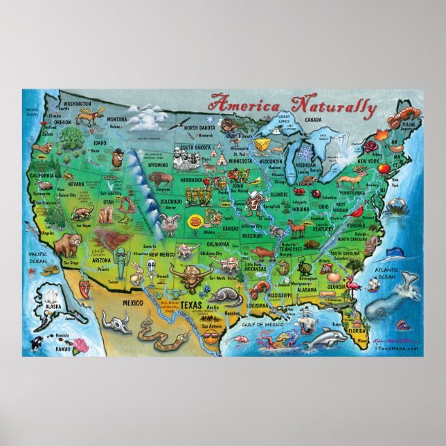 Póster Estados Unidos naturalmente (Frente)