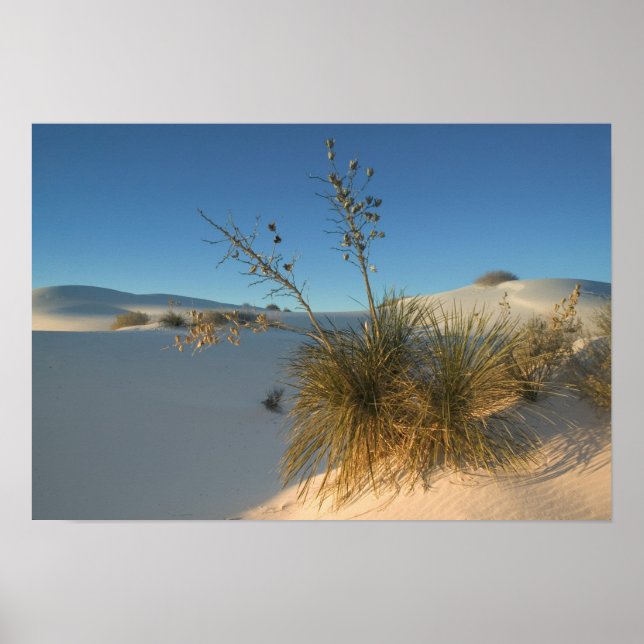 Póster Estados Unidos, Nuevo México, White Sands National (Frente)