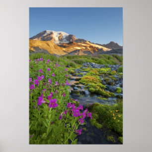 Póster Estados Unidos, Parque Nacional del Monte Rainier,