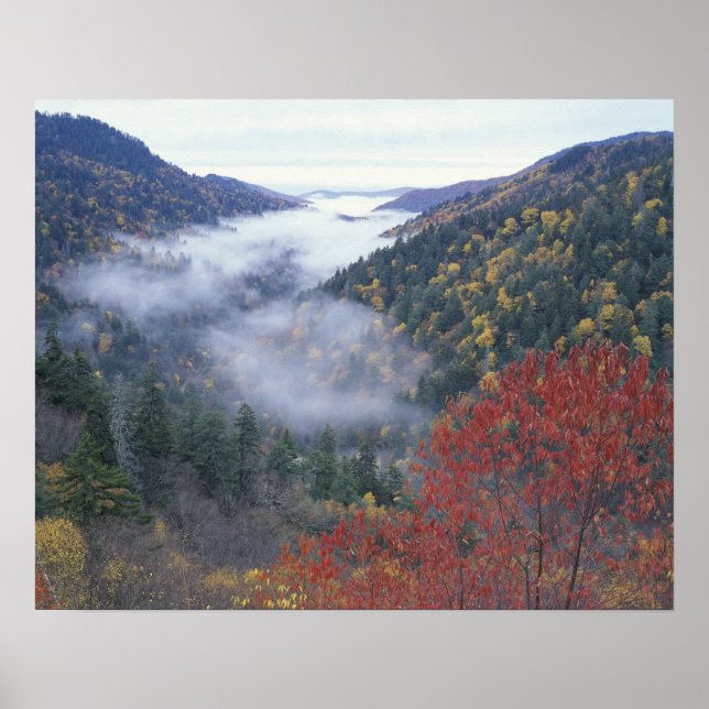Póster Estados Unidos, Tennessee, Gran Cordillera de Smok (Frente)