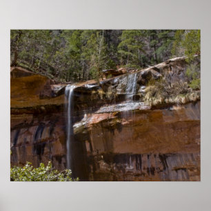 Póster Estados Unidos, Utah, Parque Nacional de Zion, Cat