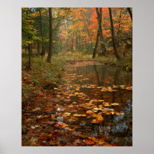 Póster Estados Unidos, Virginia, Otoño En El Parque Estat