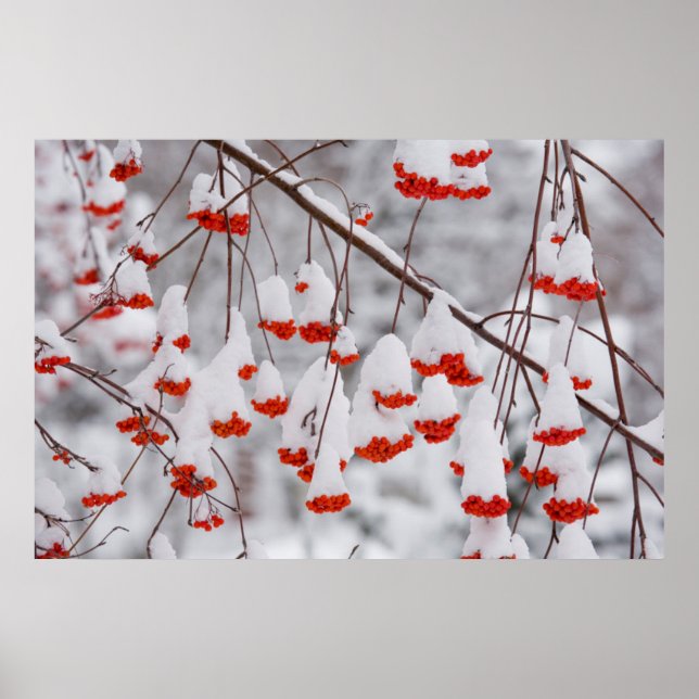 Póster Estados Unidos, Washington, condado de Spokane (Frente)