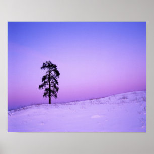 Póster Estados Unidos, Washington, condado de Spokane, Ri