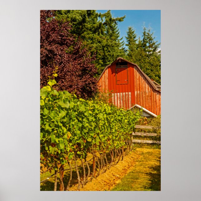Póster Estados Unidos, Washington, Isla Whidbey. Bodega (Frente)